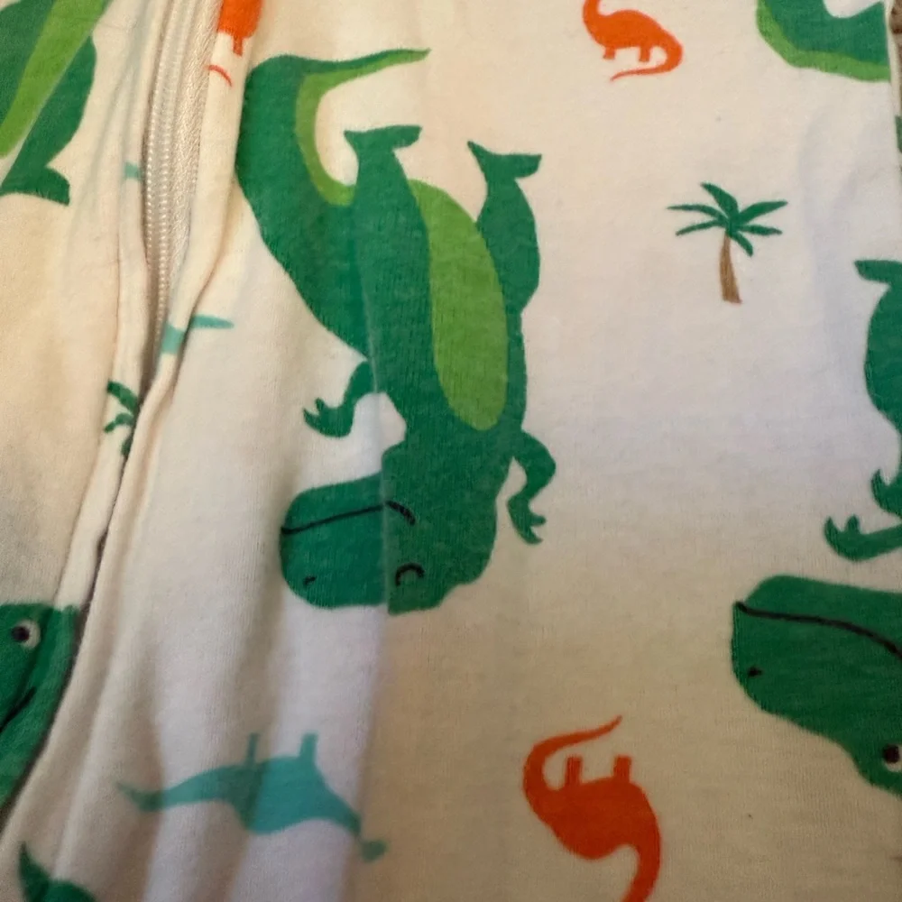 Carter's Green and Orange Dinosaur Footie